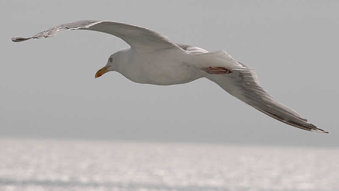 Screenshot_2015-08-15-22-02-16.png image